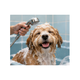 Relaxing Dog Bath