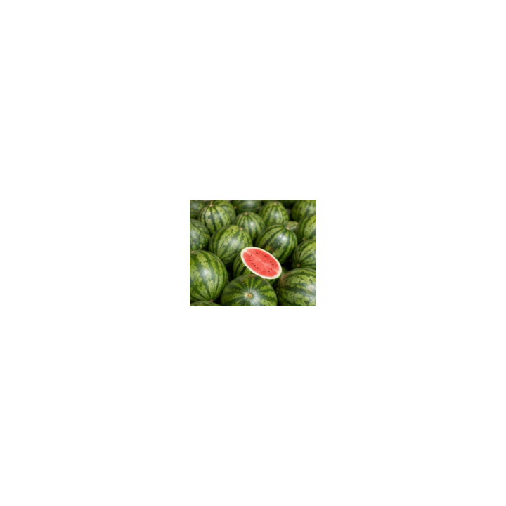Chilled Watermelon Slides