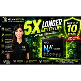 Sodium Car Battery | Exploring an Alternative Battery Technology