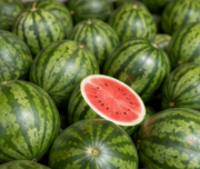 Tropical Melon Market